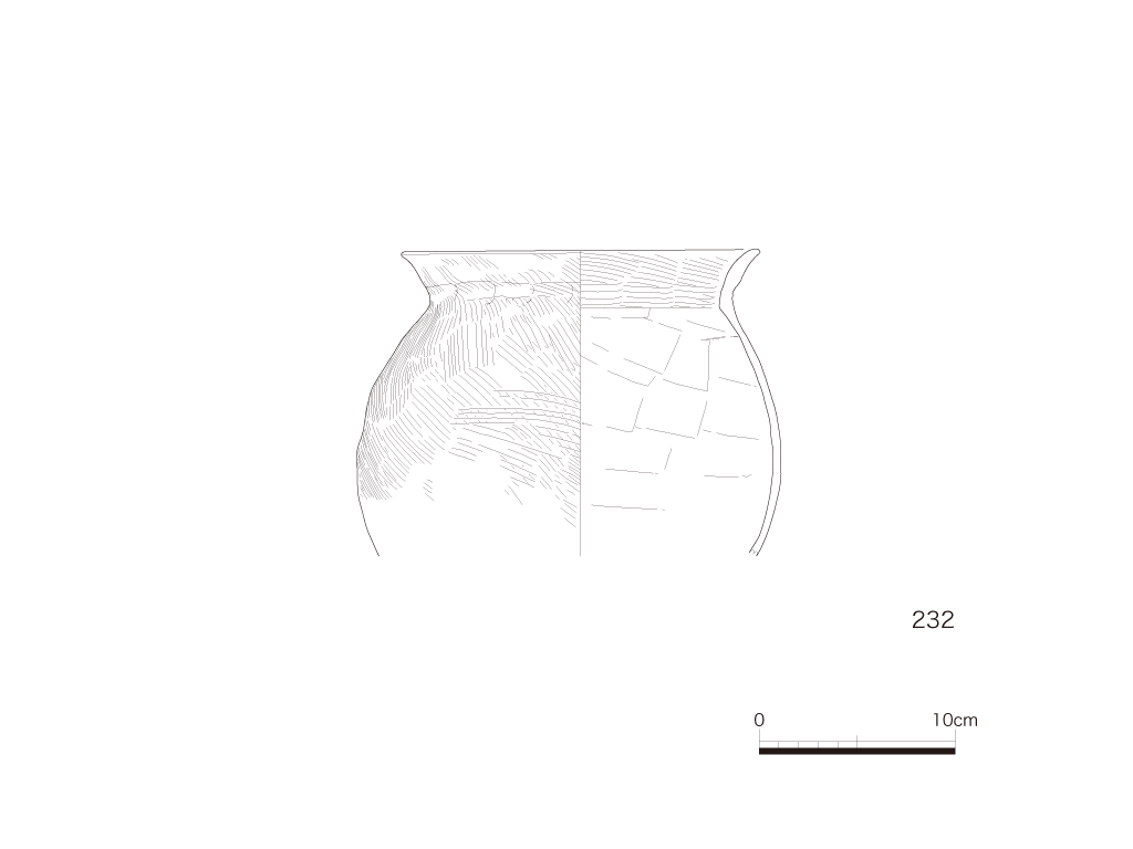 図版画像