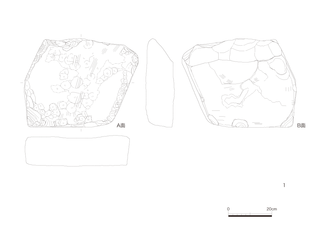 図版画像