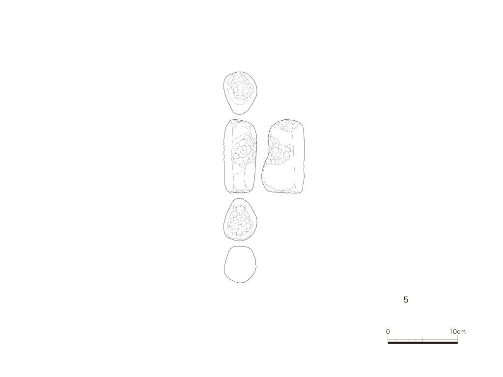 図版画像