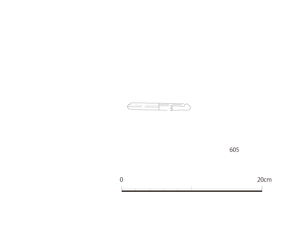 図版画像