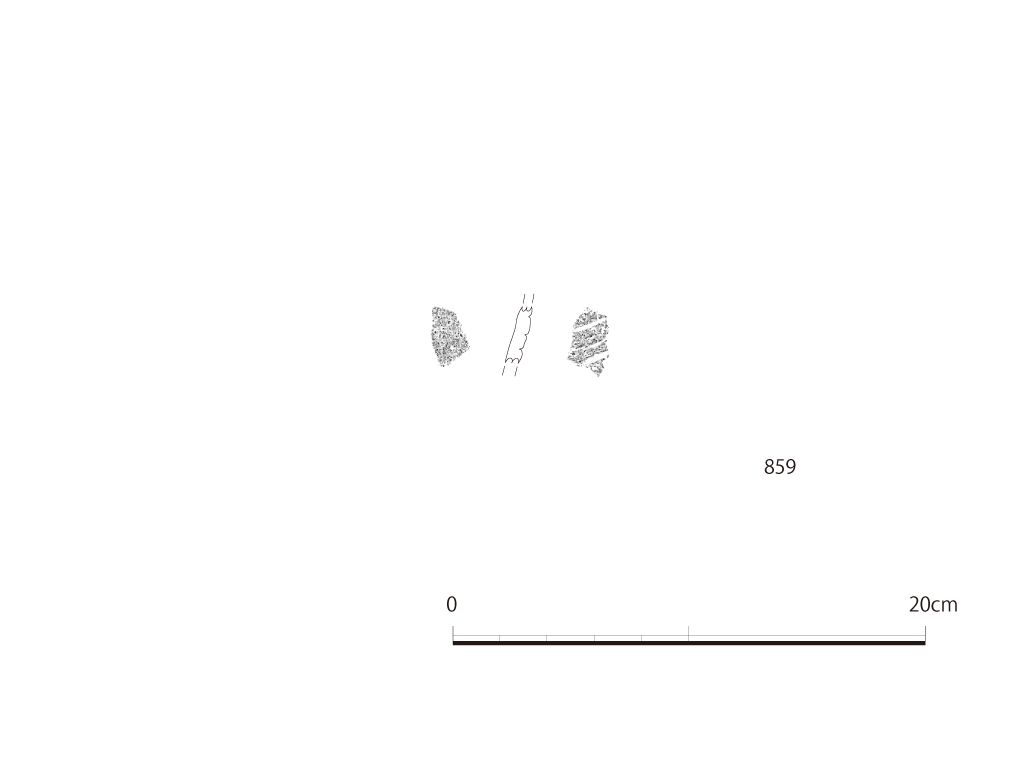 図版画像