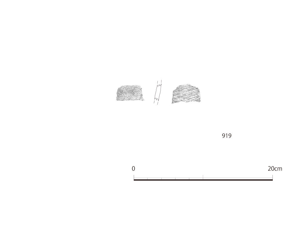 図版画像