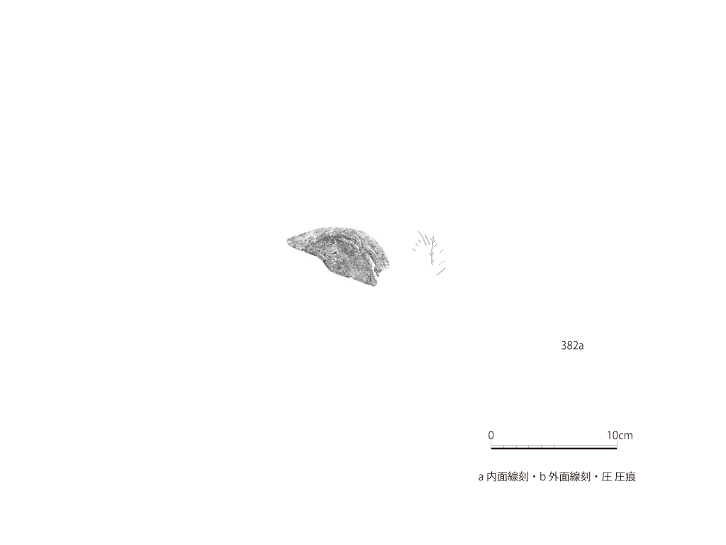 図版画像