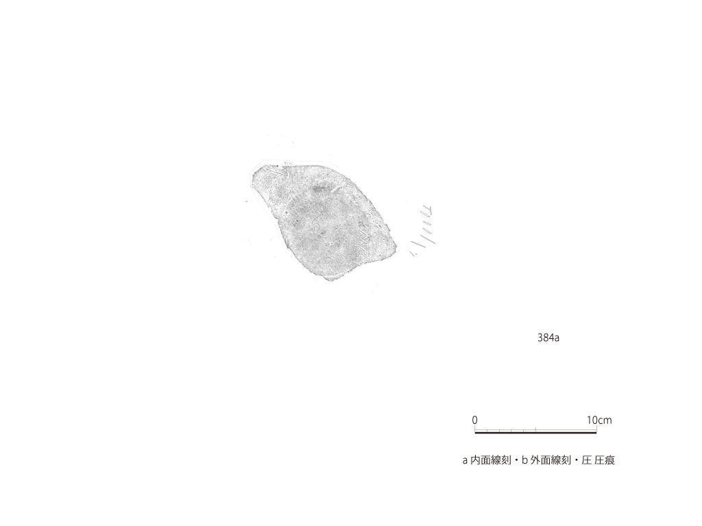 図版画像