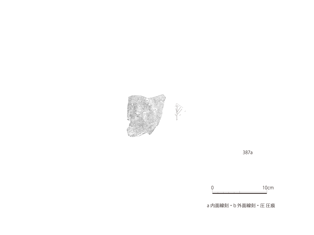 図版画像