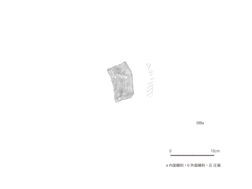 図版画像
