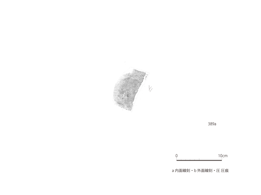 図版画像