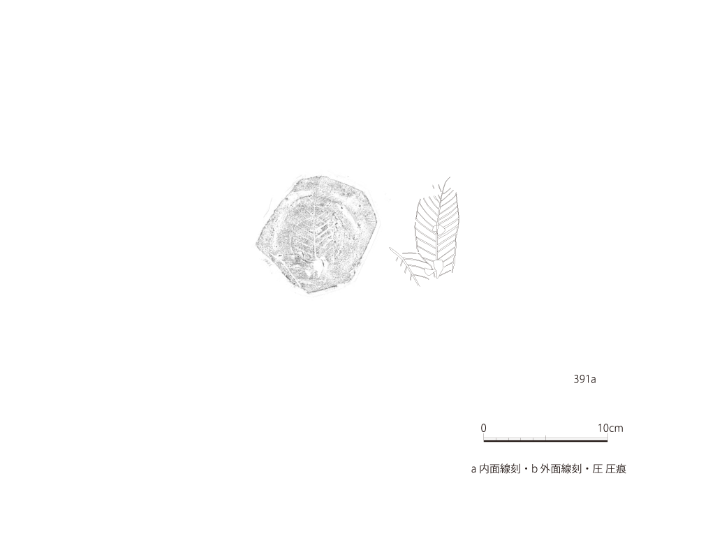 図版画像