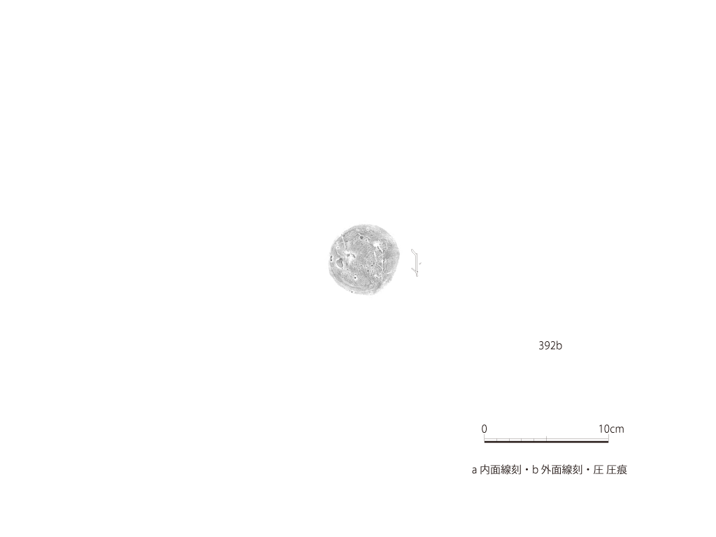 図版画像