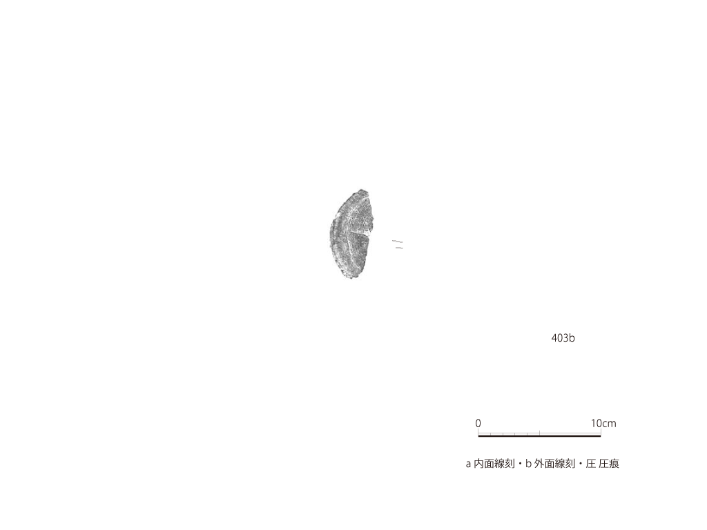 図版画像
