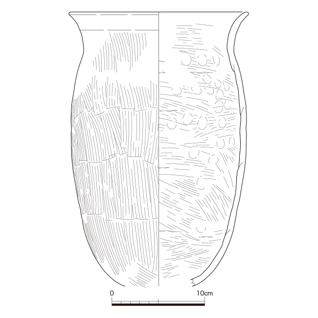 図版画像