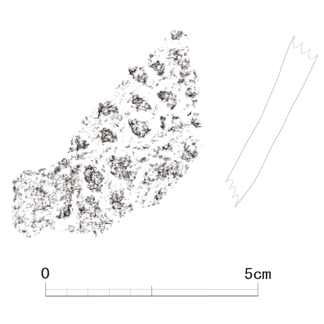 図版画像