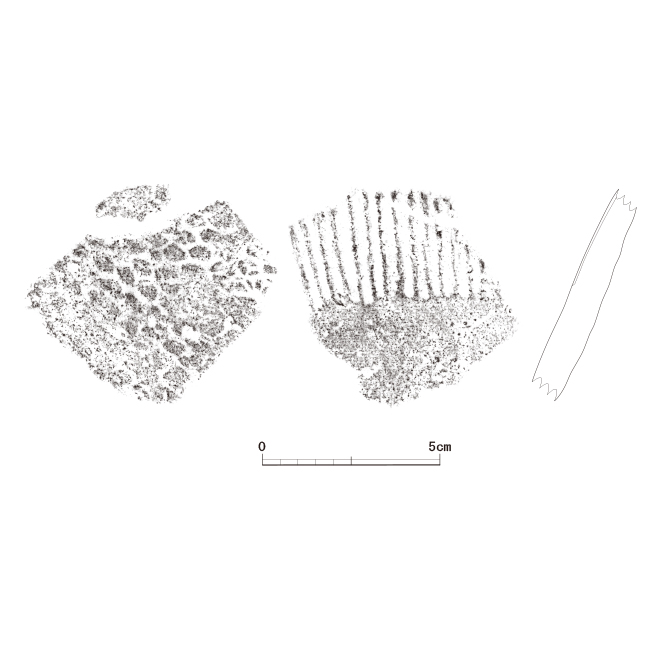 図版画像
