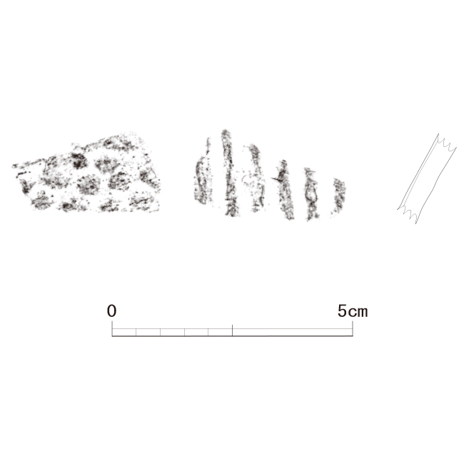 図版画像