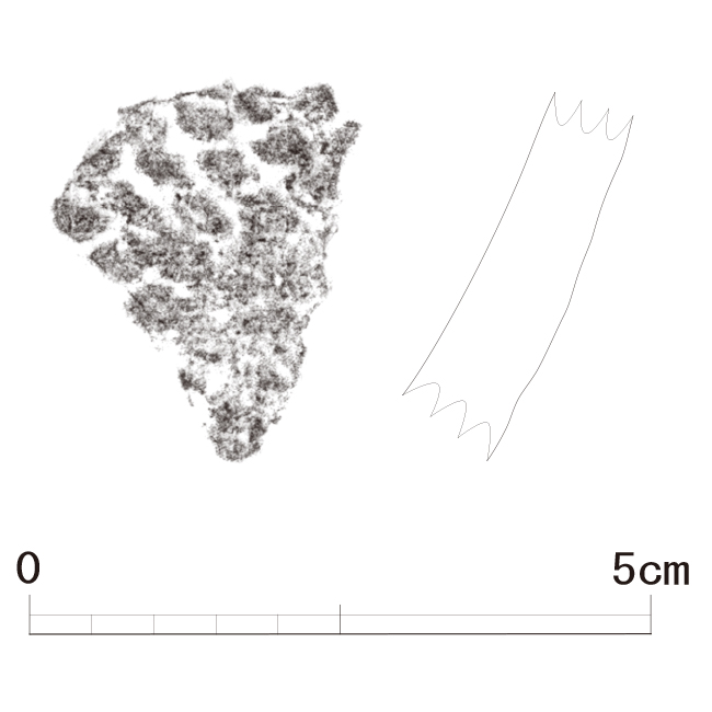 図版画像