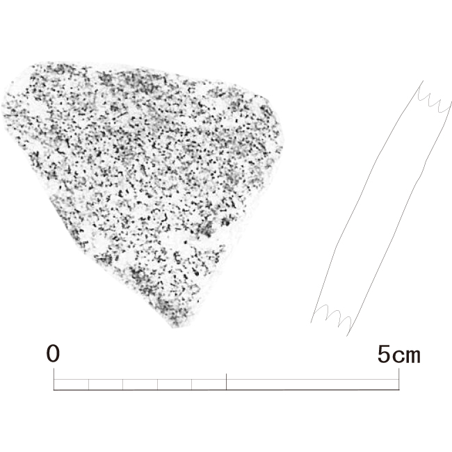 図版画像