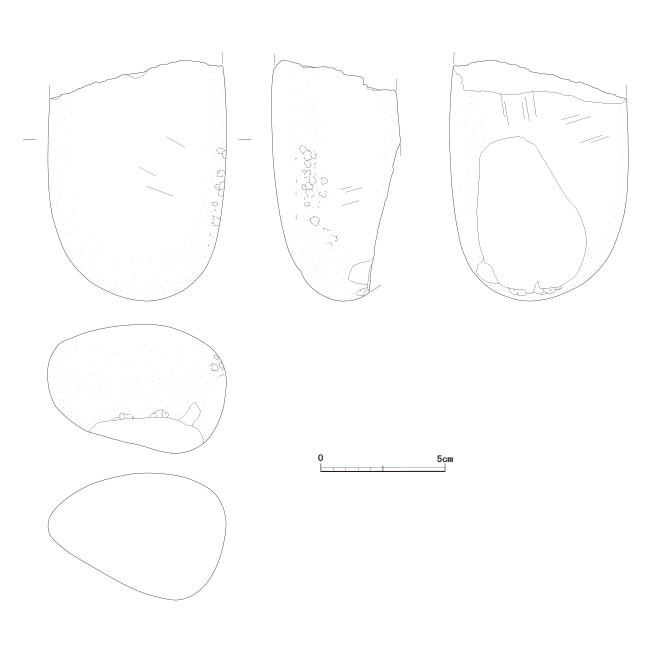 図版画像