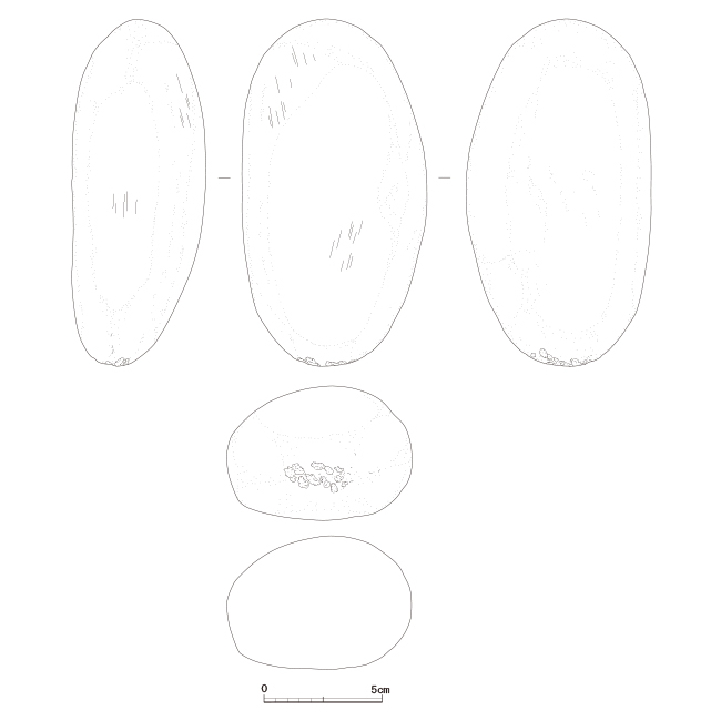 図版画像