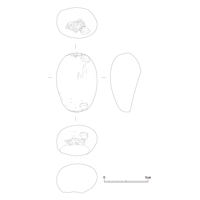 図版画像