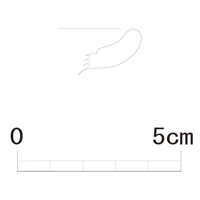 図版画像