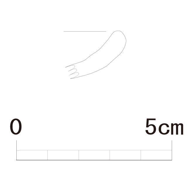 図版画像