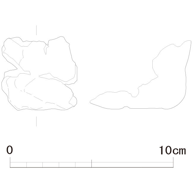 図版画像