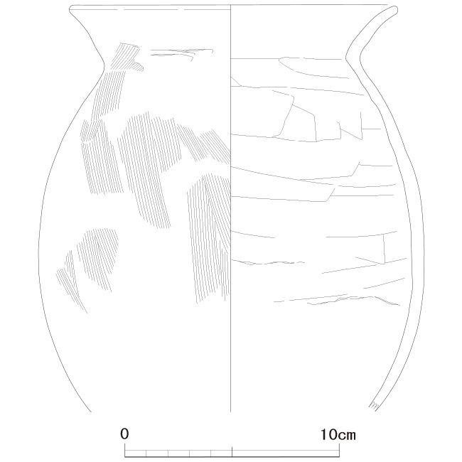 図版画像