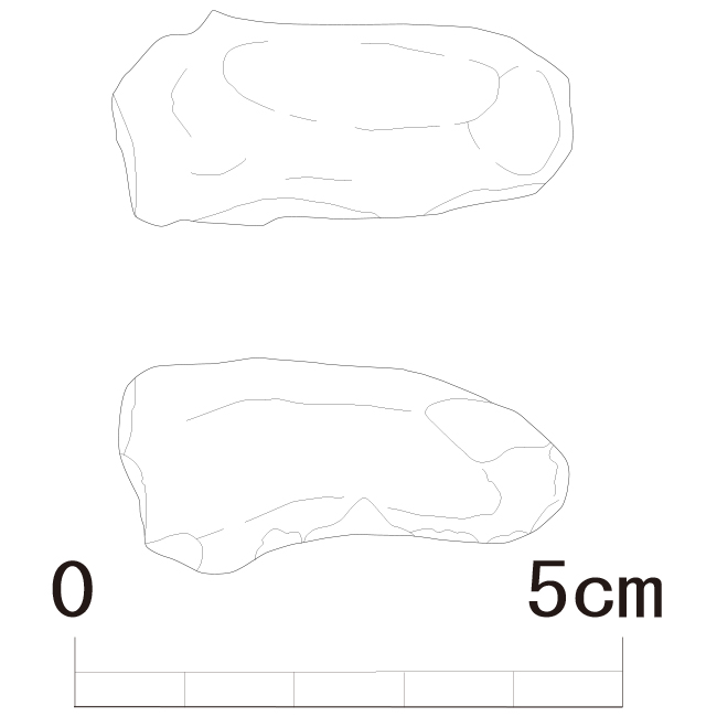 図版画像