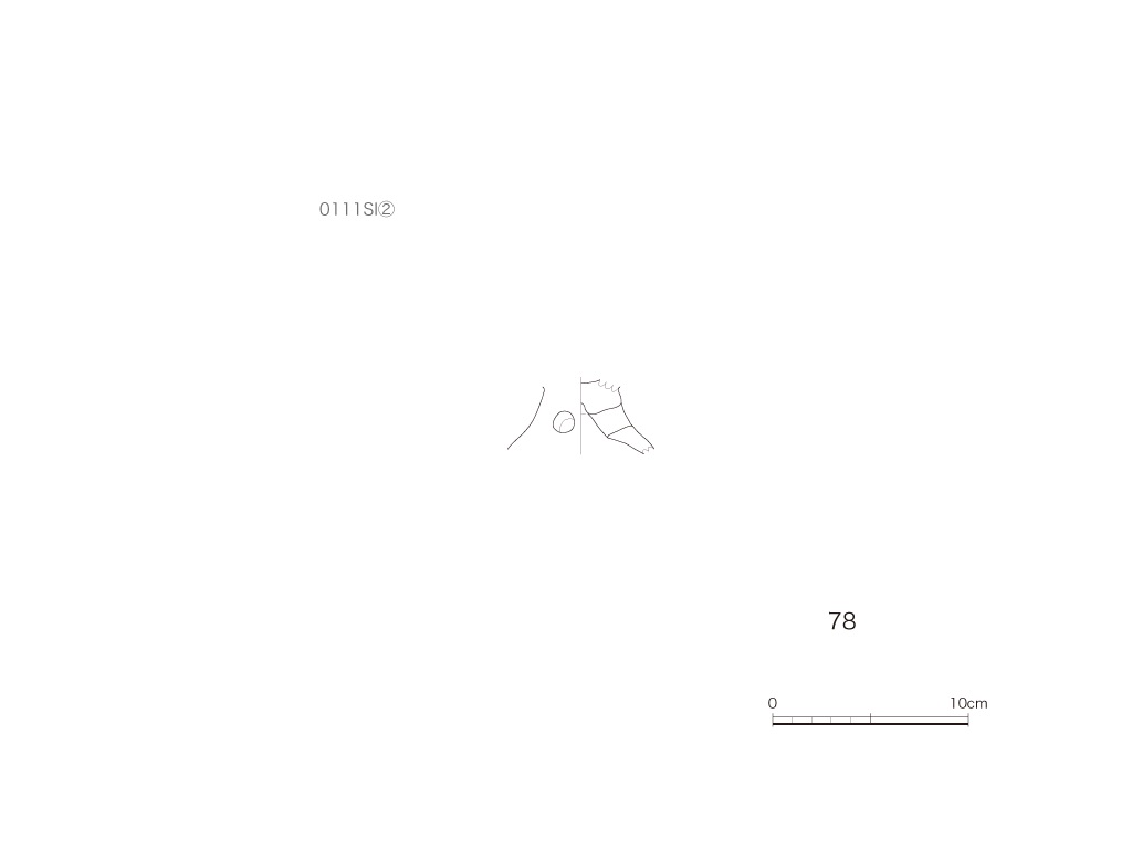 図版画像
