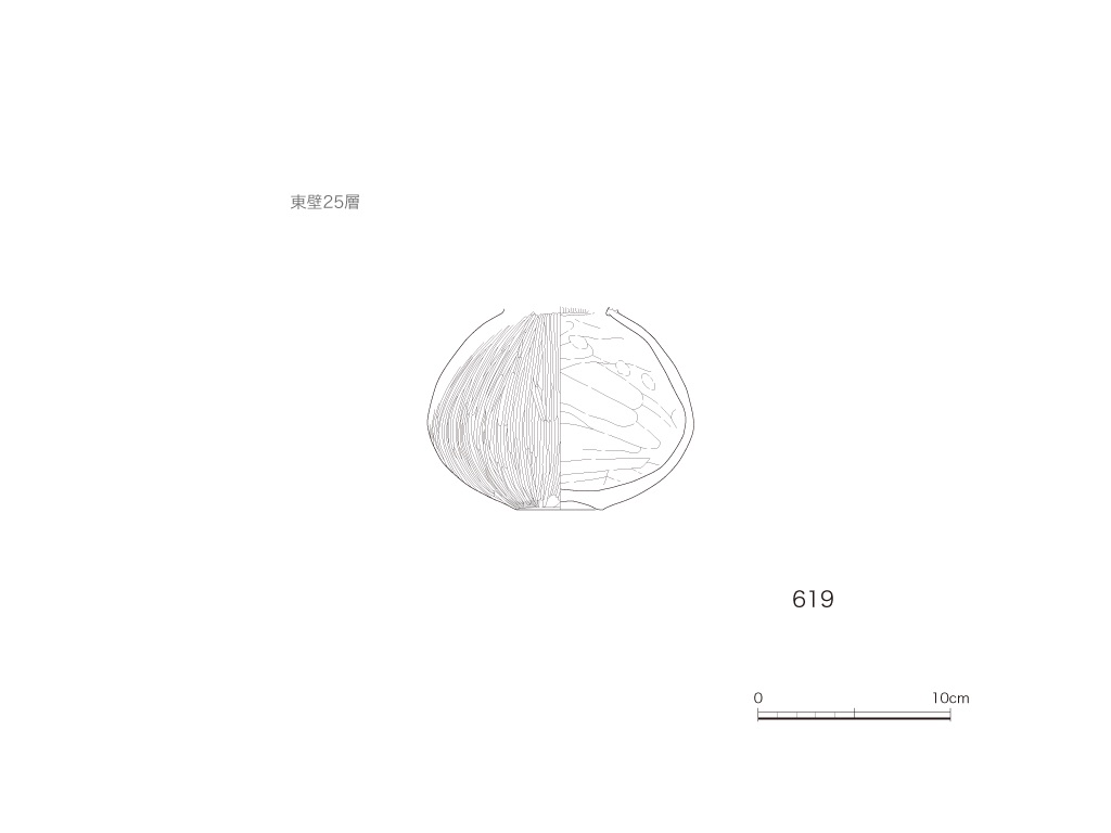 図版画像