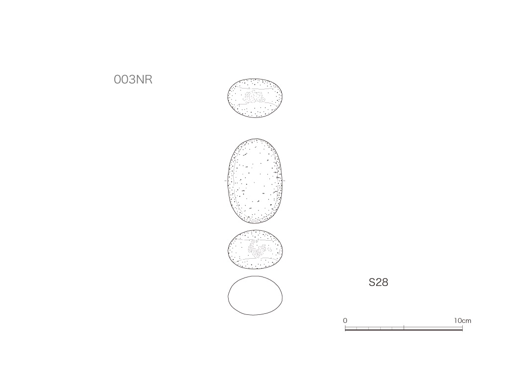 図版画像