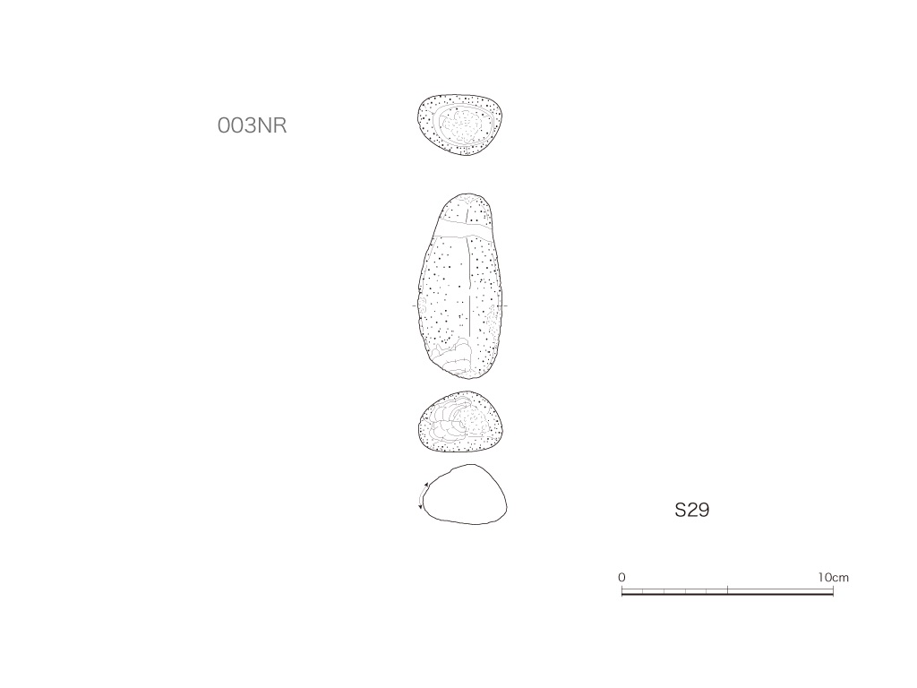 図版画像