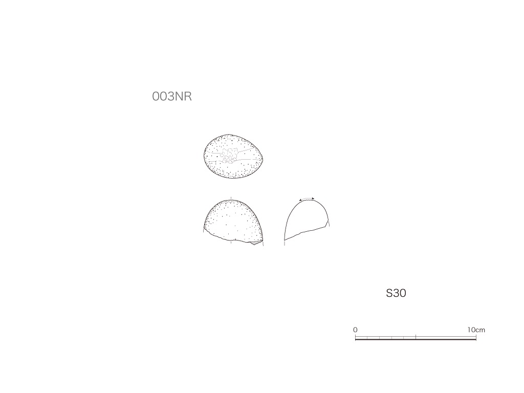 図版画像