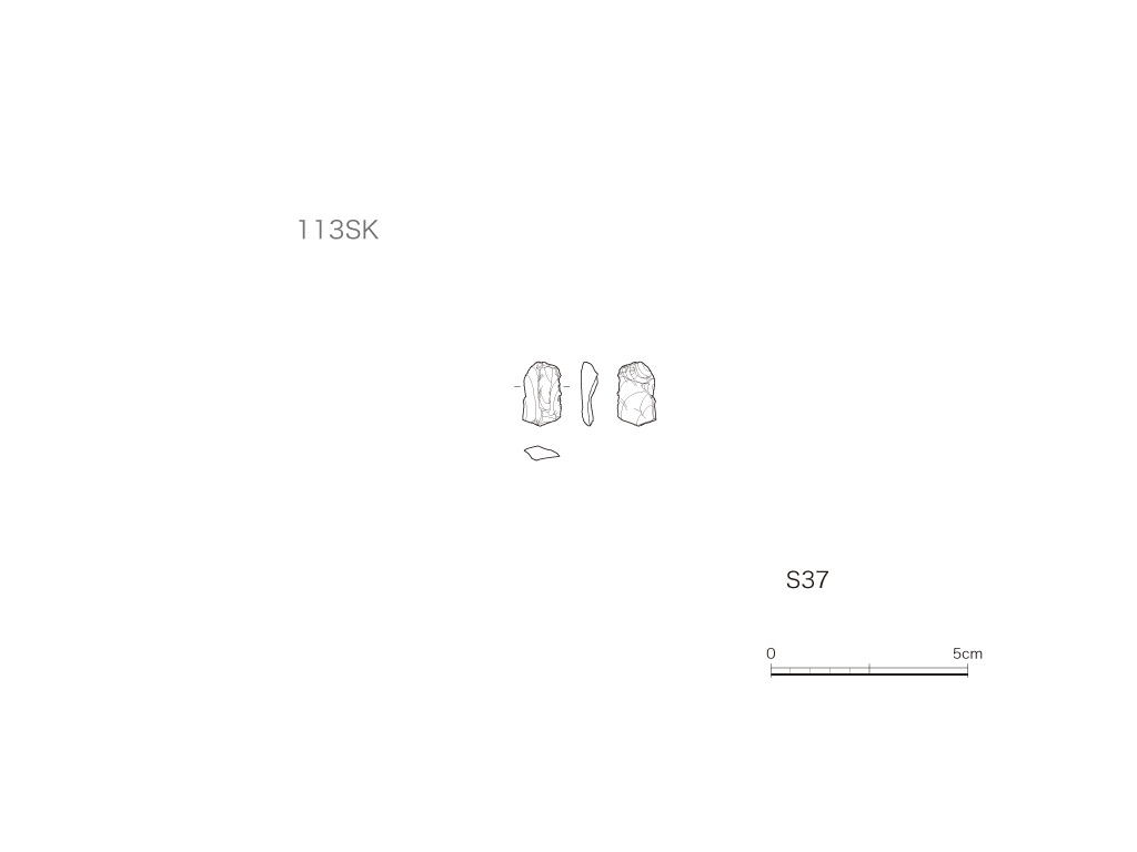 図版画像