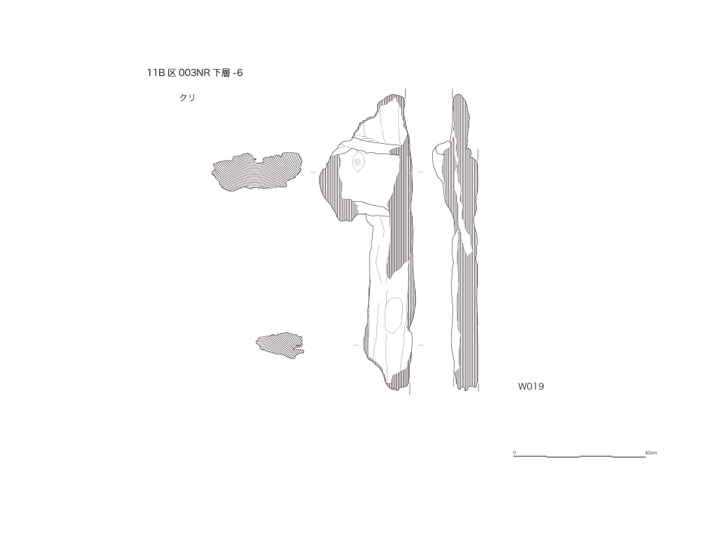 図版画像