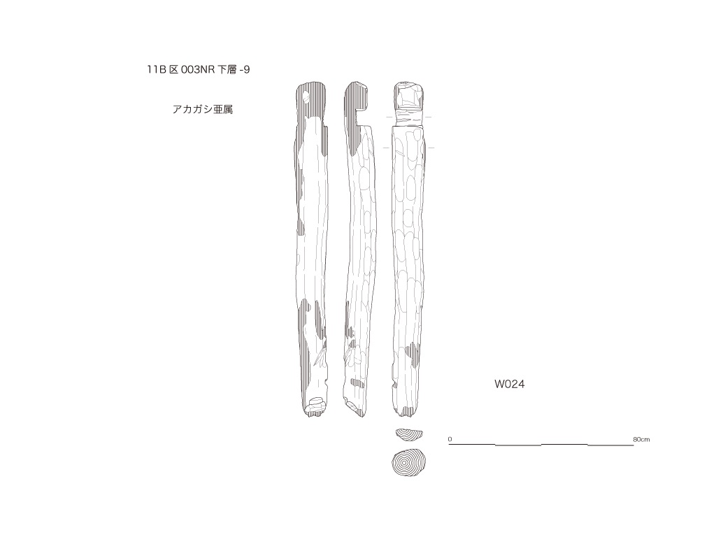 図版画像