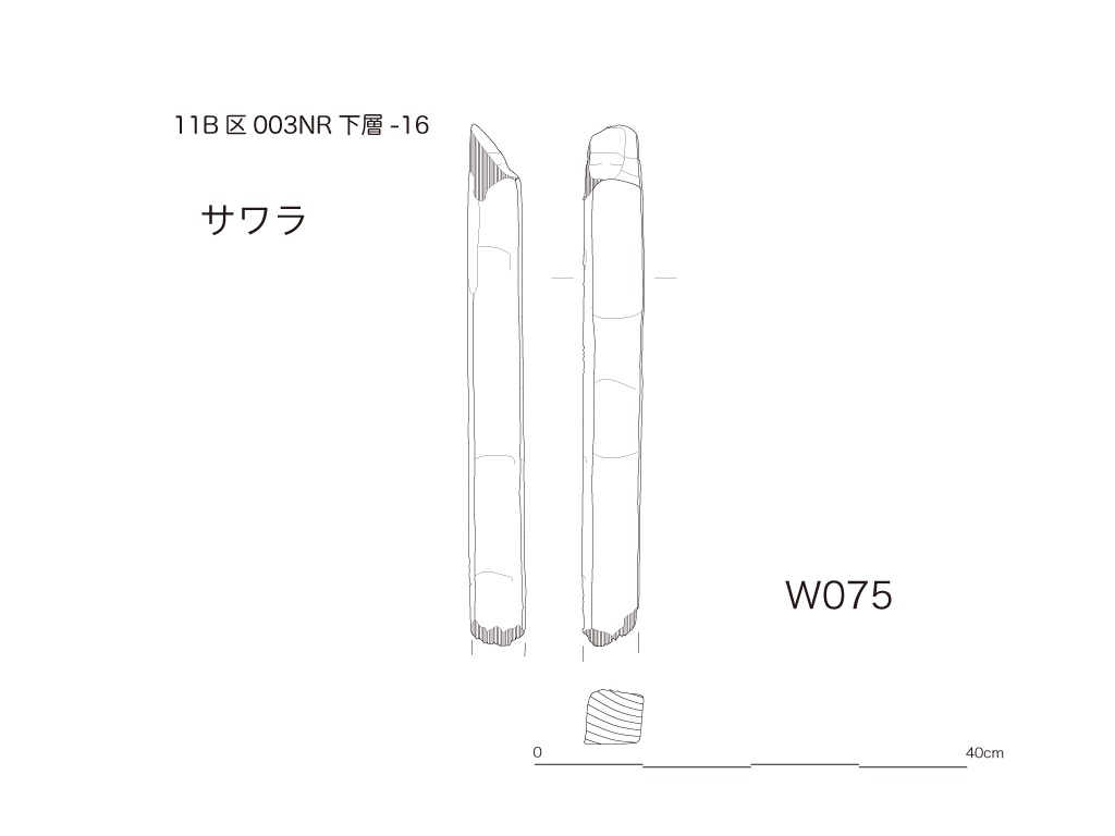 図版画像