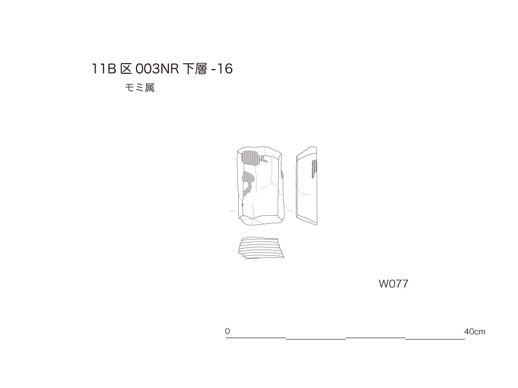 図版画像