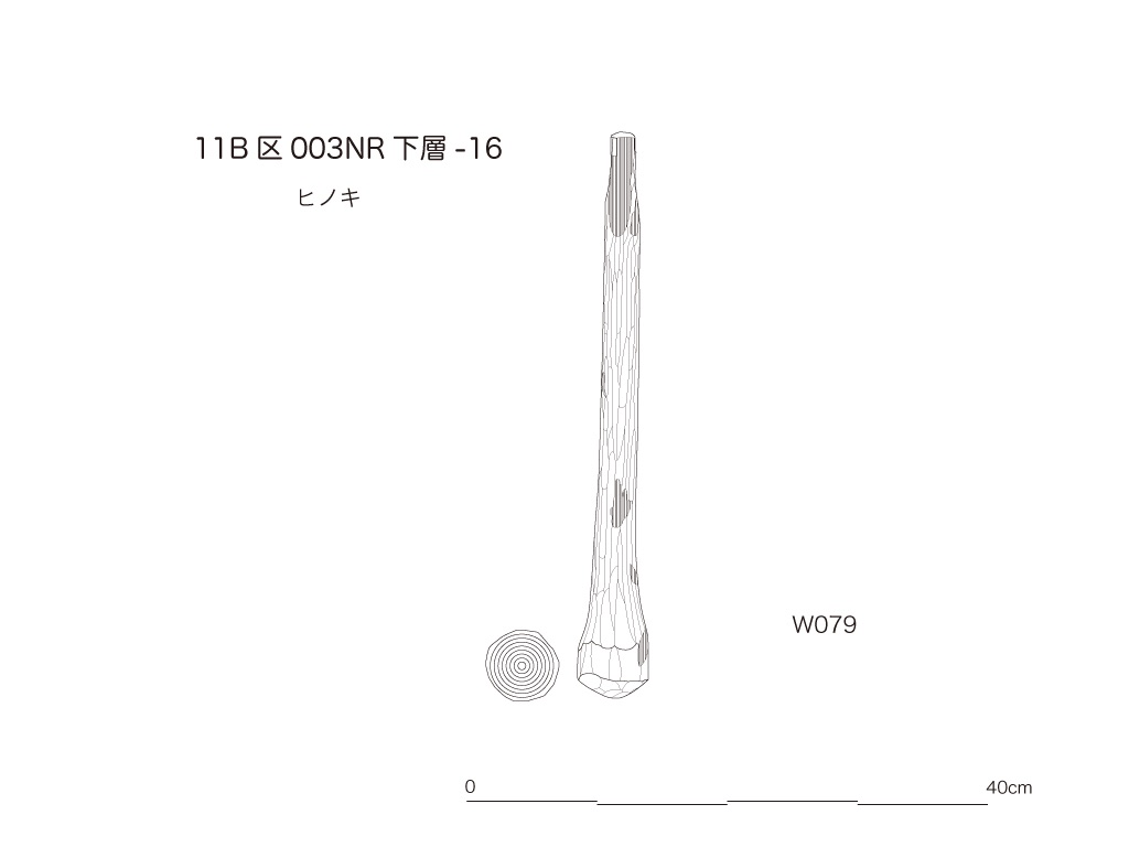 図版画像