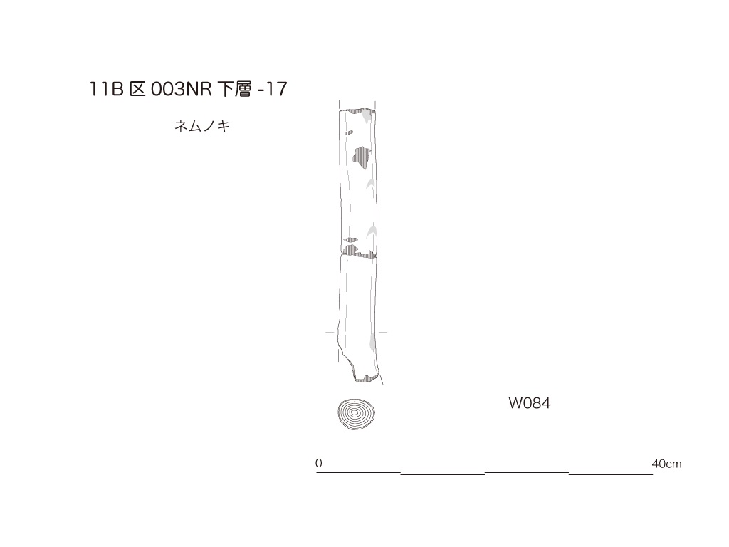 図版画像
