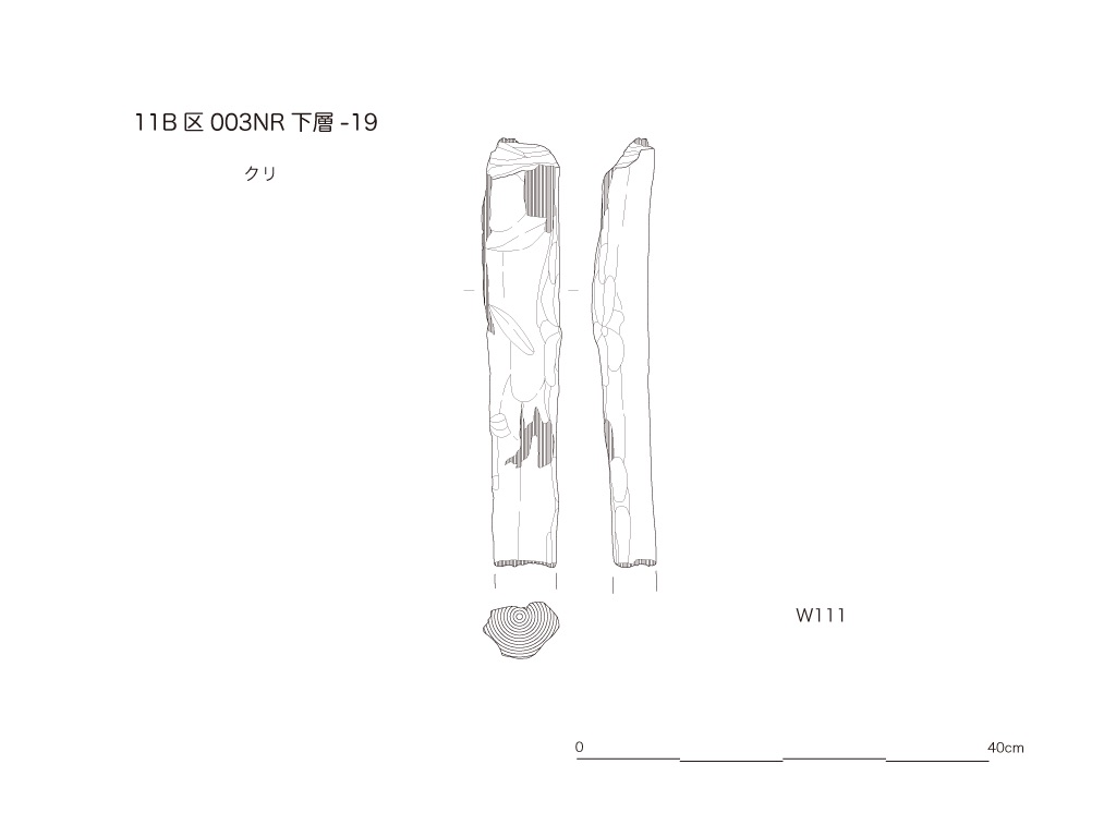 図版画像