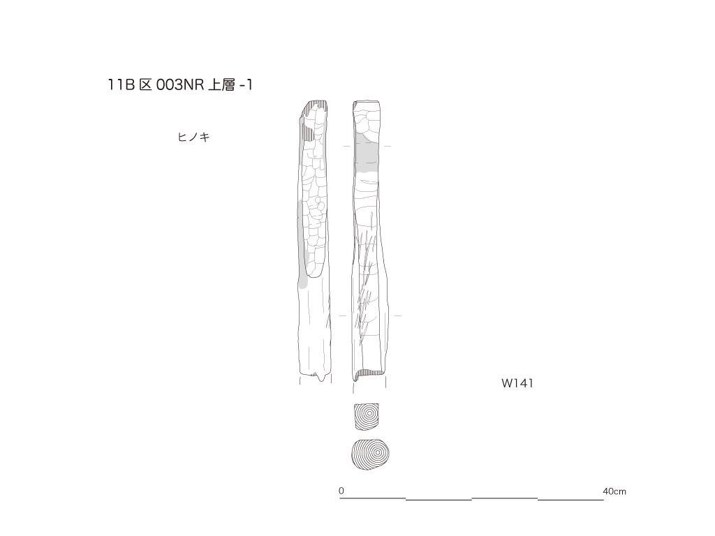 図版画像