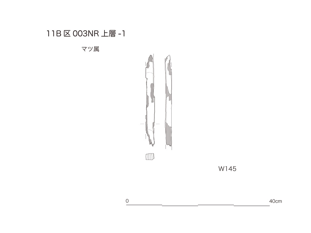 図版画像