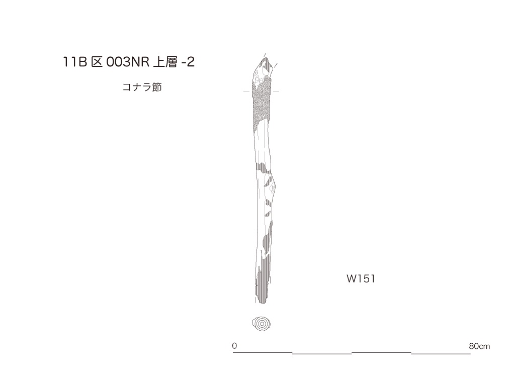 図版画像