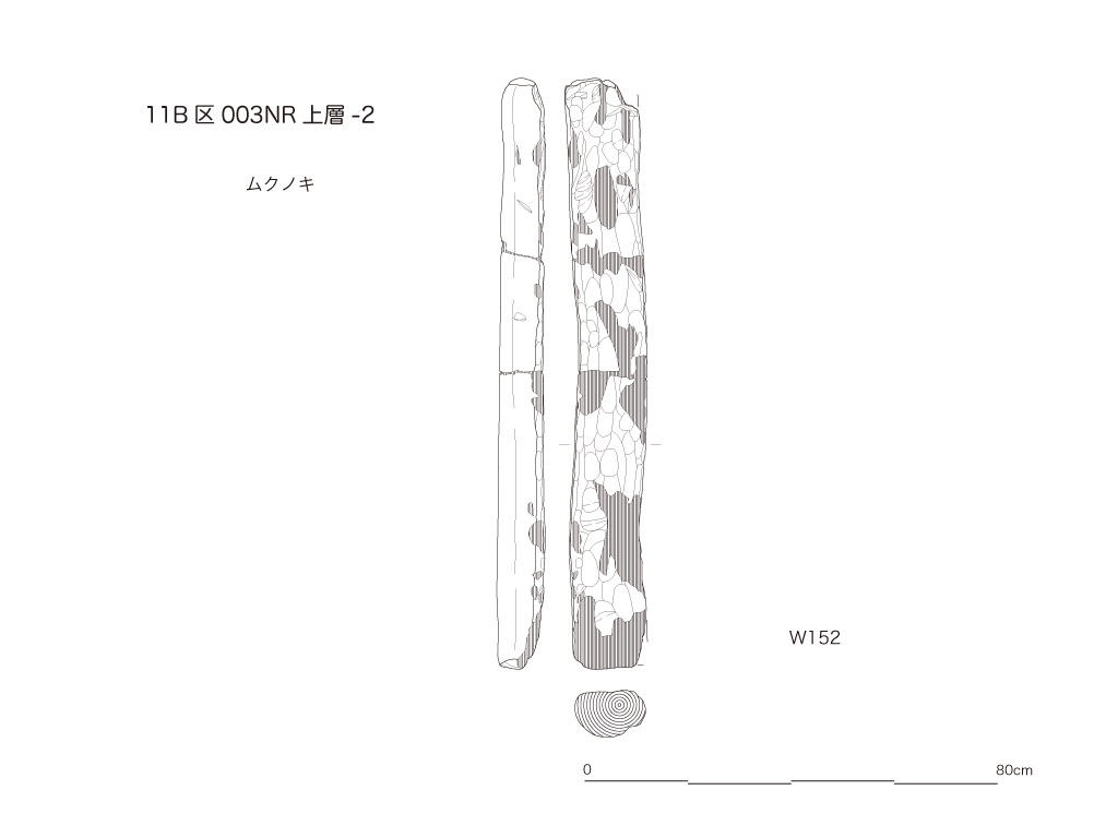 図版画像