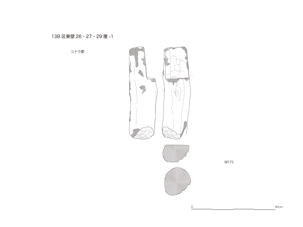 図版画像