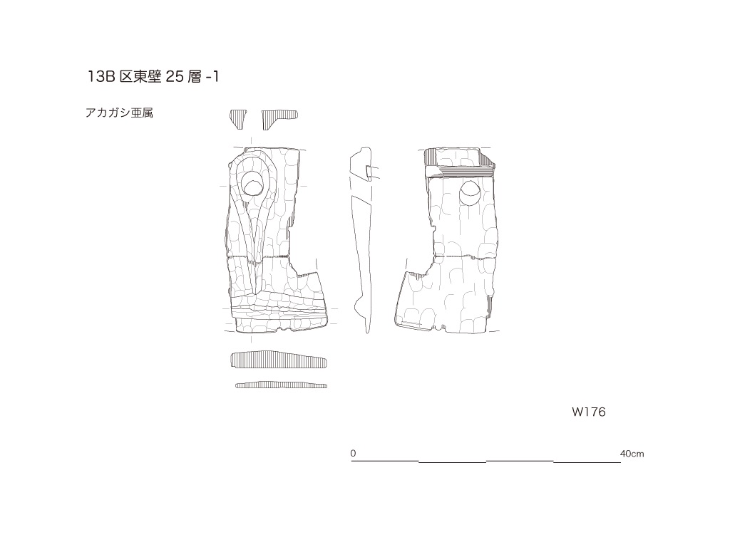 図版画像
