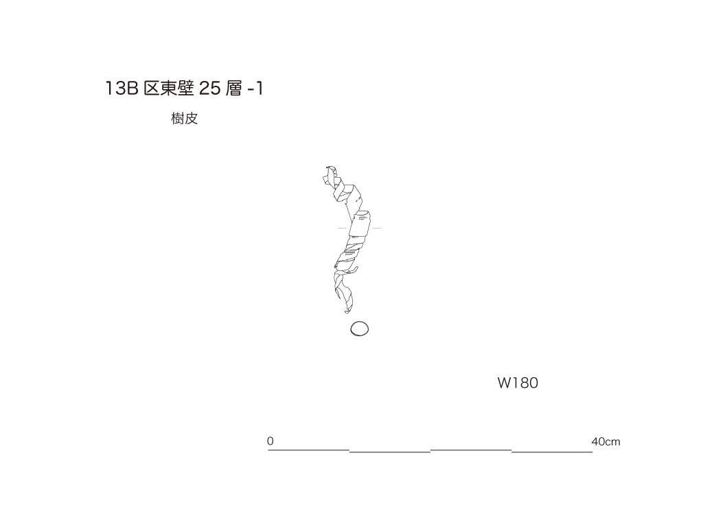 図版画像