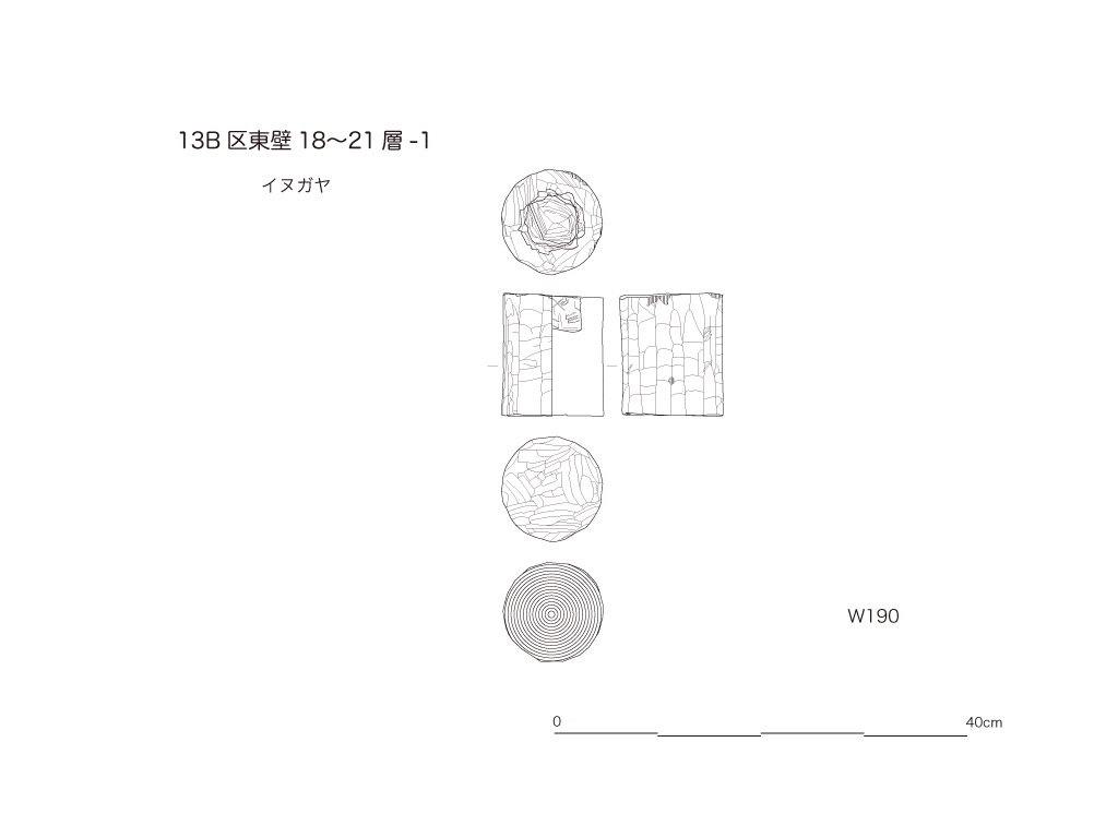 図版画像
