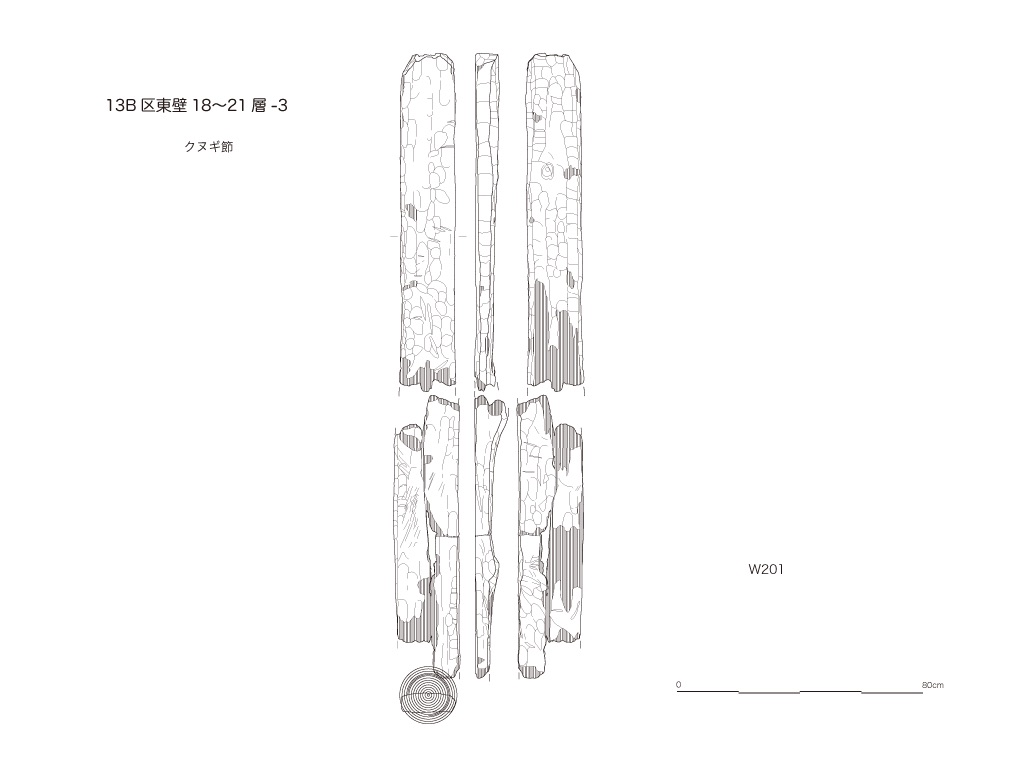 図版画像